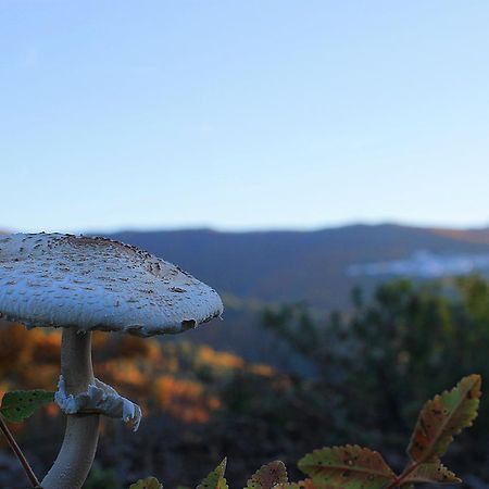 Casa Rural Juzcar Bagian luar foto
