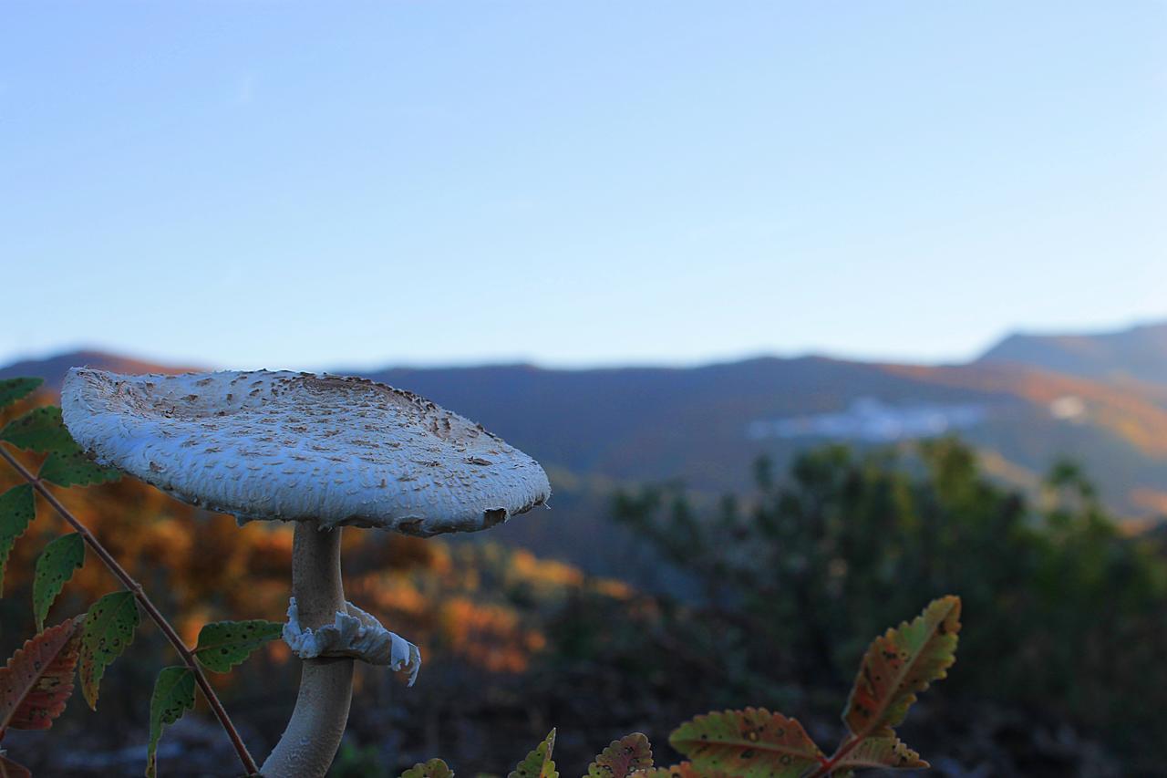 Casa Rural Juzcar Bagian luar foto
